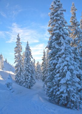 dağ manzarası. Schladming. Avusturya