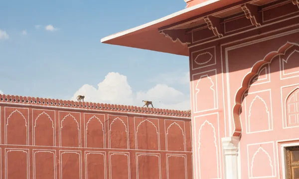 Palacio de la ciudad. Jaipur, India — Foto de Stock