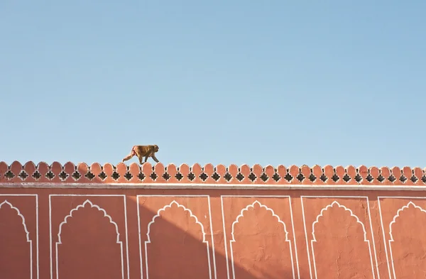 Detail of the architecture of the city palace. Jaipur, India — Stock Photo, Image