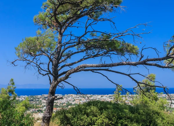 Côte méditerranéenne. Resort Ialyssos. L'île Rhodes. Grèce — Photo