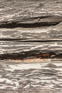 Eski bir ahşap duvar dokusu