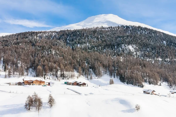 Blick auf das Skigebiet in den Alpen. livigno, italien — Stockfoto