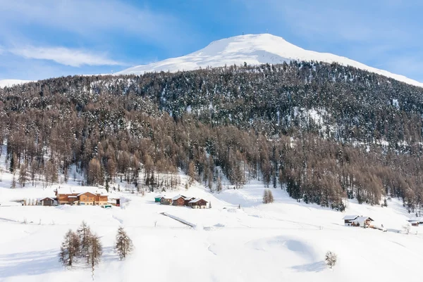 Vista della stazione sciistica delle Alpi. Livigno, Italia — Foto Stock