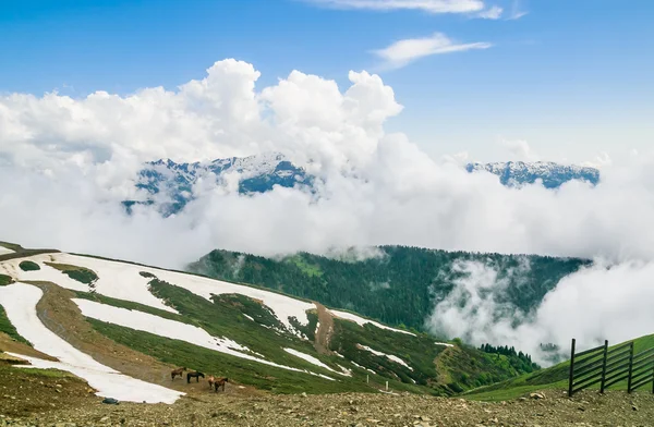 Dağ manzarası, Kayak Merkezi 