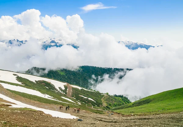 Paisaje de montaña, estación de esquí "Rosa Khutor", Sochi, Rusia — Foto de Stock