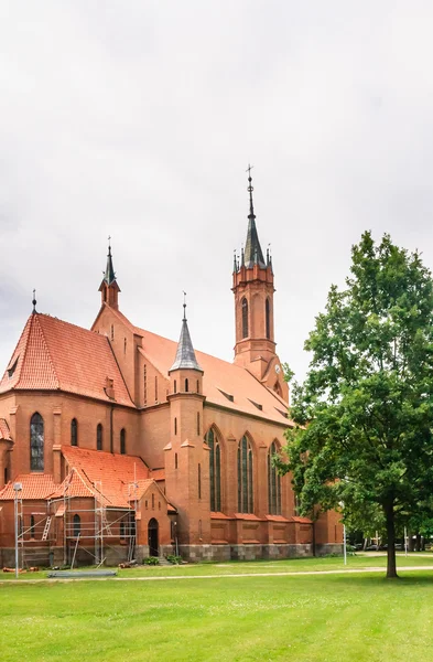 Katolicki Kościół Najświętszej Marii Panny szkaplerza. Druskienniki, Lithu — Zdjęcie stockowe