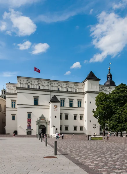 Palace of the Grand Dukes of Lithuania. Vilnius, Lithuania — Φωτογραφία Αρχείου