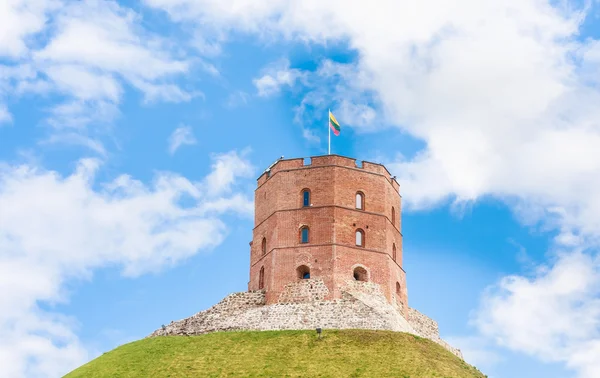 Башня Гедиминаса, Вильнюс, Литва — стоковое фото