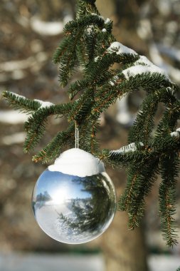 Süslü Noel ağacı