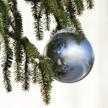 Süslü Noel ağacı