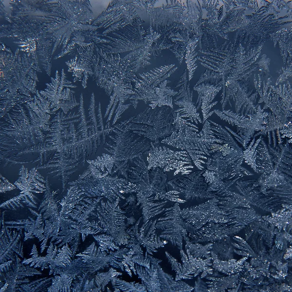 Frost pattern on the window — Stock Photo, Image