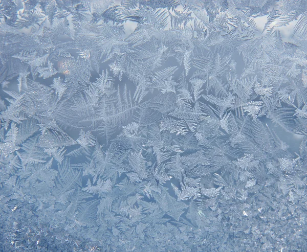 Penceredeki buz deseni — Stok fotoğraf