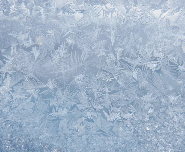 Penceredeki buz deseni — Stok fotoğraf