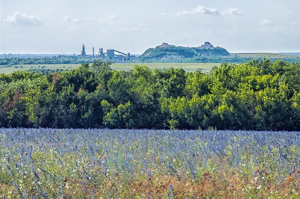 Landschap met een veld, de kolenmijn hopen afval — Stockfoto