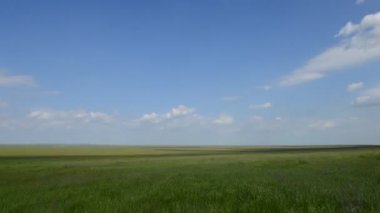 Yeşil çimenli çayır ve bulutlu mavi gökyüzü