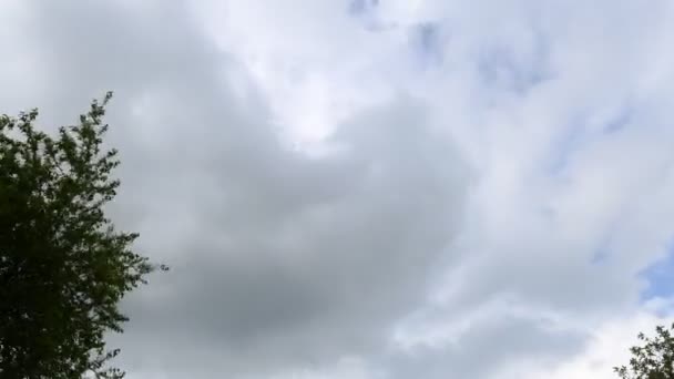 Time-lapse de hermosas nubes blancas moviéndose sobre el cielo azul — Vídeo de stock