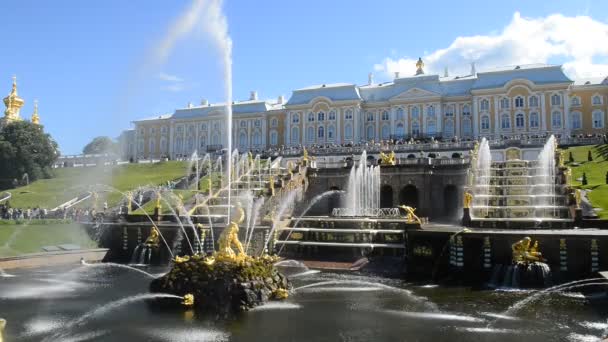 Saint-Petersburg, Oroszország-2016. június 16.: Peterhof, Oroszország, king's palace és a szökőkút grand kaszkád, St. Petersburg környezetében — Stock videók