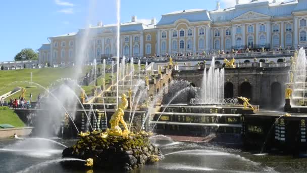 Saint-Petersburg, Oroszország-2016. június 16.: Peterhof, Oroszország, king's palace és a szökőkút grand kaszkád, St. Petersburg környezetében — Stock videók