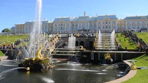 SAN PETERSBURGO, RUSIA - 16 DE JUNIO DE 2016: Peterhof, Rusia, palacio del rey y gran cascada de fuentes, alrededores de San Petersburgo — Vídeo de stock