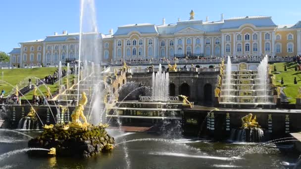 SAN PETERSBURGO, RUSIA - 16 DE JUNIO DE 2016: Peterhof, Rusia, palacio del rey y gran cascada de fuentes, alrededores de San Petersburgo — Vídeo de stock