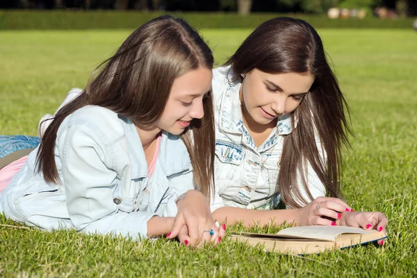 Девушки-студенты на лужайке и читают учебники . — стоковое фото