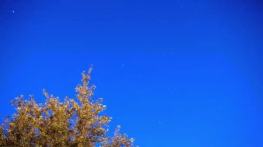 Zaman atlamalı star yollar üzerinde gece sky