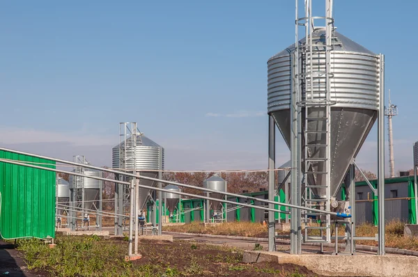 Bir sığır yetiştirme çiftliğindeki galvanizli demir tahıl siloları — Stok fotoğraf