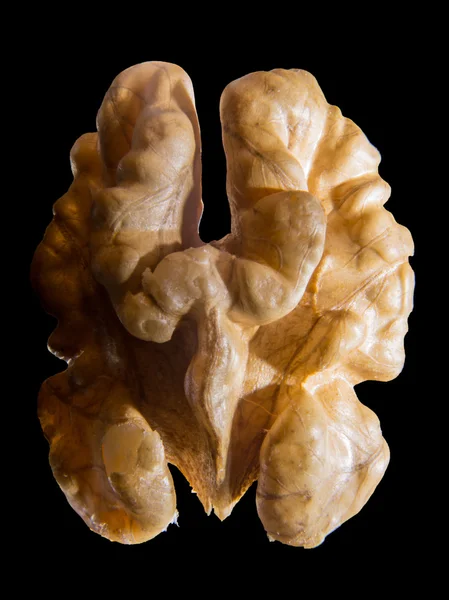 Tasty walnut on a black background — Stock Photo, Image