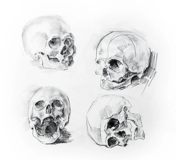 Dibujo de estudio de cráneo. Lápiz sobre papel . — Foto de Stock