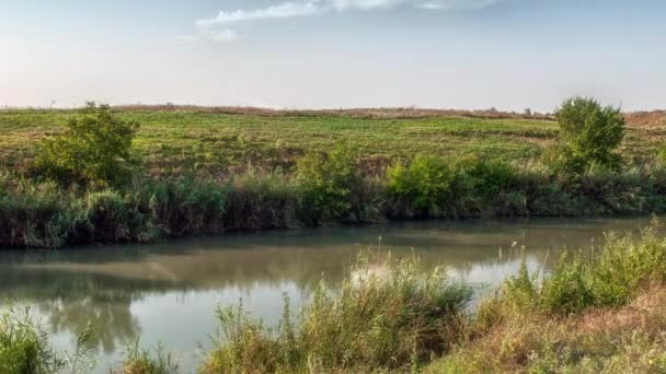 Hermoso río en un día soleado caliente — Vídeo de stock