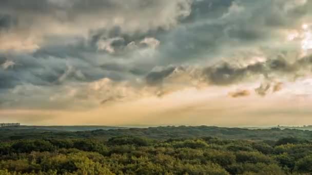 Salida del sol de verano desde las alturas sobre el bosque. Stavropol. Rusia — Vídeos de Stock