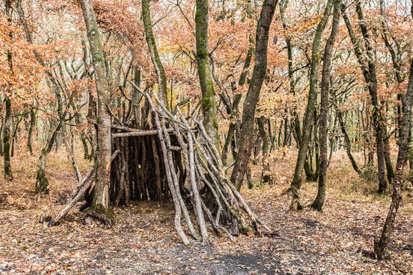 Paisagem Outono Árvores Caducas Amareladas Área Parque Outono Cidade Paisagem — Fotografia de Stock