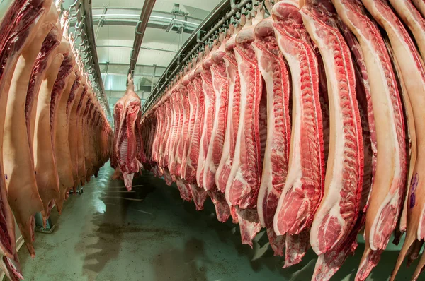 Fresh meat in a cold cut factory — Stock Photo, Image