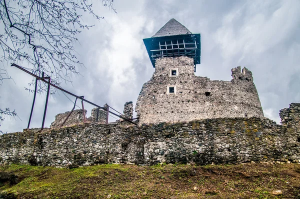 Замок в деревне Невике, Украина — стоковое фото