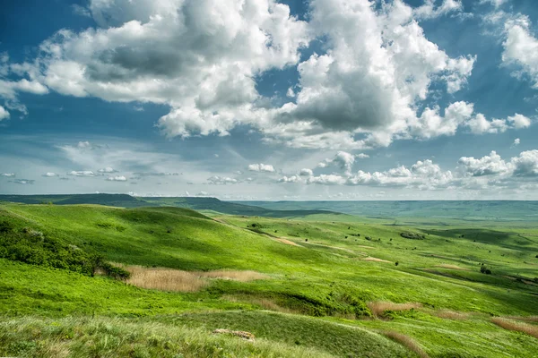 Flores nas montanhas. Rússia, Stavropol. — Fotografia de Stock