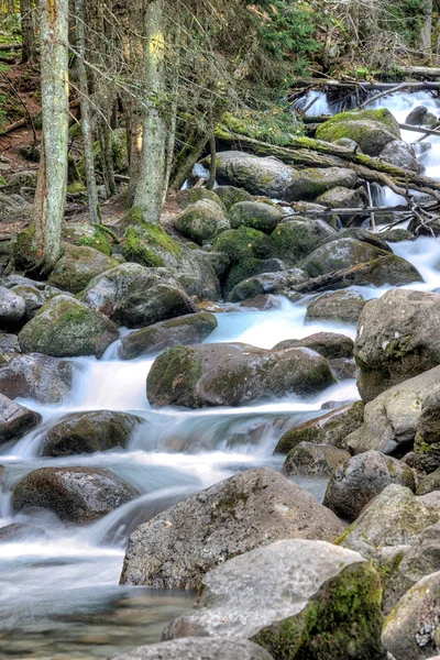 Rivier Ullu-Murudzhu Noord-Kaukasus Rusland — Stockfoto