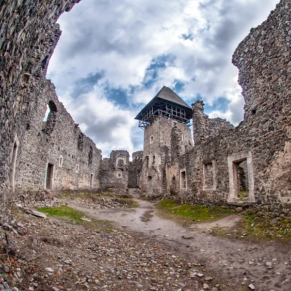 Замок в деревне Невике, Украина — стоковое фото