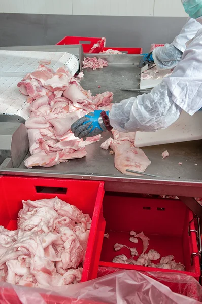 Jedzenie wieprzowiny przetwórstwa mięsa — Zdjęcie stockowe