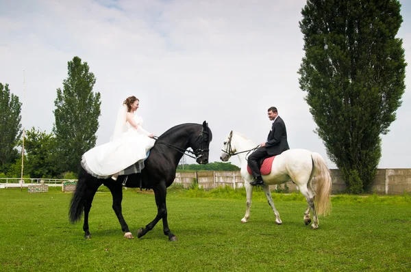 Wedding bride and groom on horseback — Stock Photo, Image