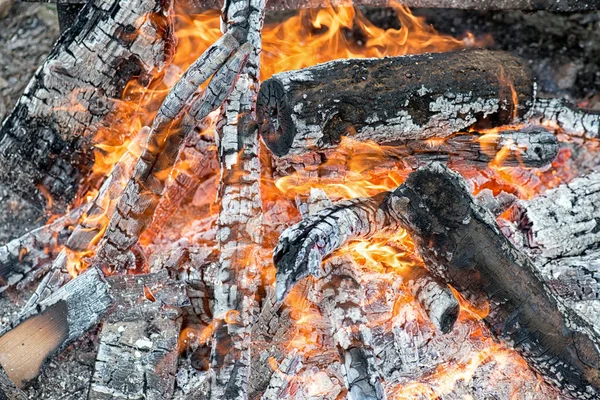 Feu de joie dans la forêt. — Photo