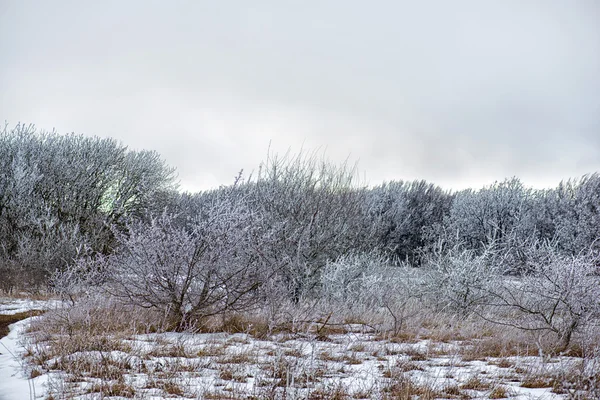 Paisagem de inverno com geada em árvores — Fotografia de Stock
