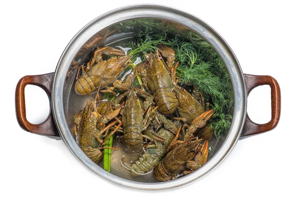 Fresh crayfish in a pot — Stock Photo, Image