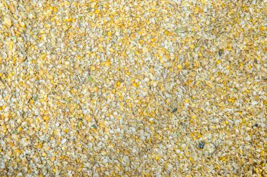 Karışık farklı gren. 