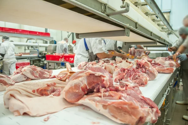 Trasformazione della carne suina industria alimentare — Foto Stock