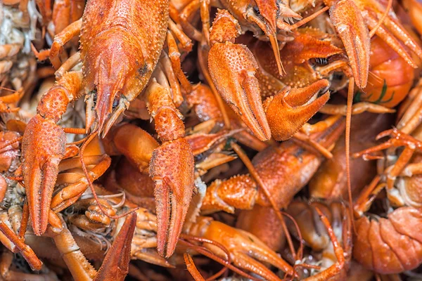 Muitas lagostas vermelhas para venda — Fotografia de Stock