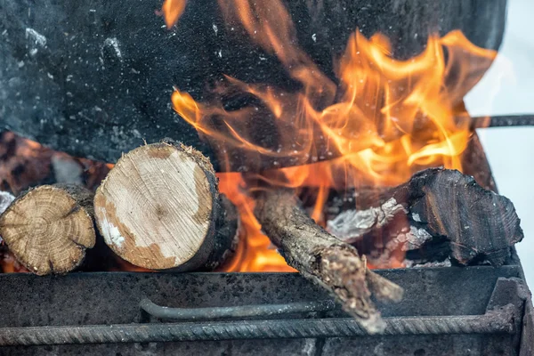 Bonfire in het bos. — Stockfoto