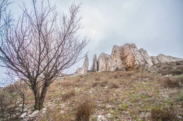 De rotsachtige rots bevindt zich in het Boven-Krijt — Stockfoto