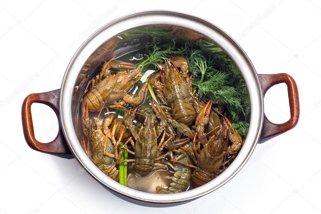 Fresh crayfish in a pot