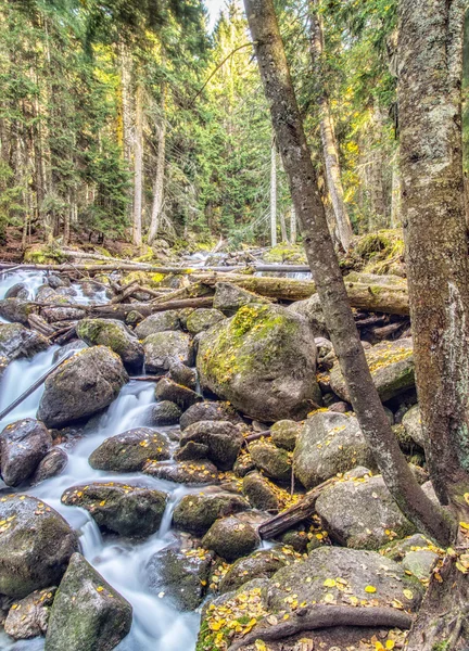 Řeka Ullu-Murudzhu severní Kavkaz Rusko — Stock fotografie