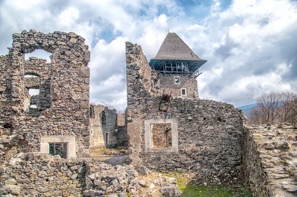 Castelo na aldeia Nevicke, Ucrânia — Fotografia de Stock